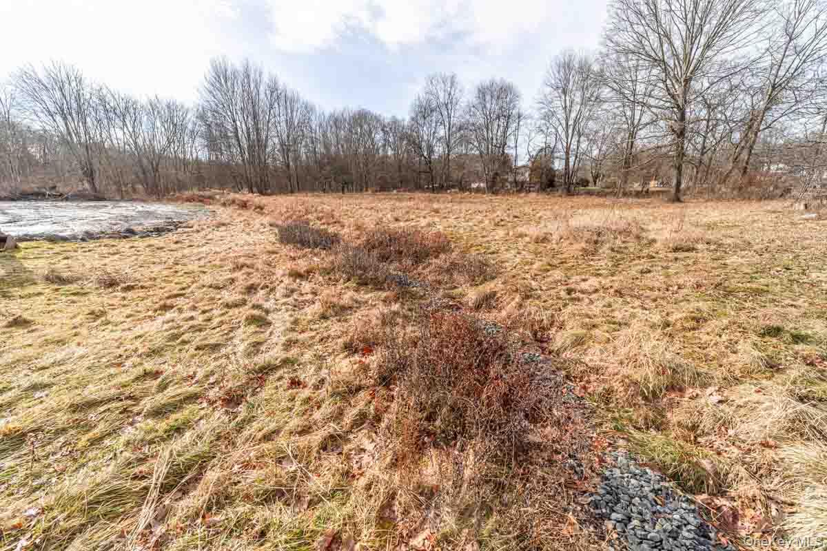 437 Union School Road Middletown, NY 10941 - Photo 14 of 23 View of local wilderness with rural landscape