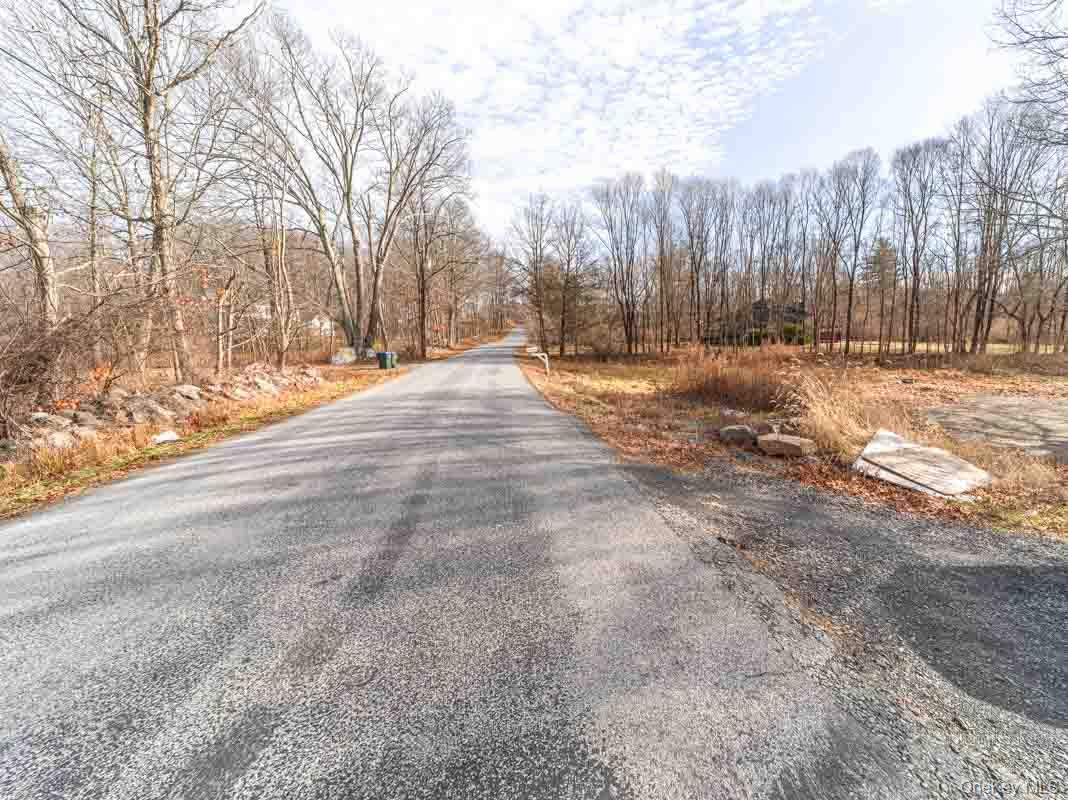 437 Union School Road Middletown, NY 10941 - Photo 17 of 23 View of asphalt street featuring a forest view