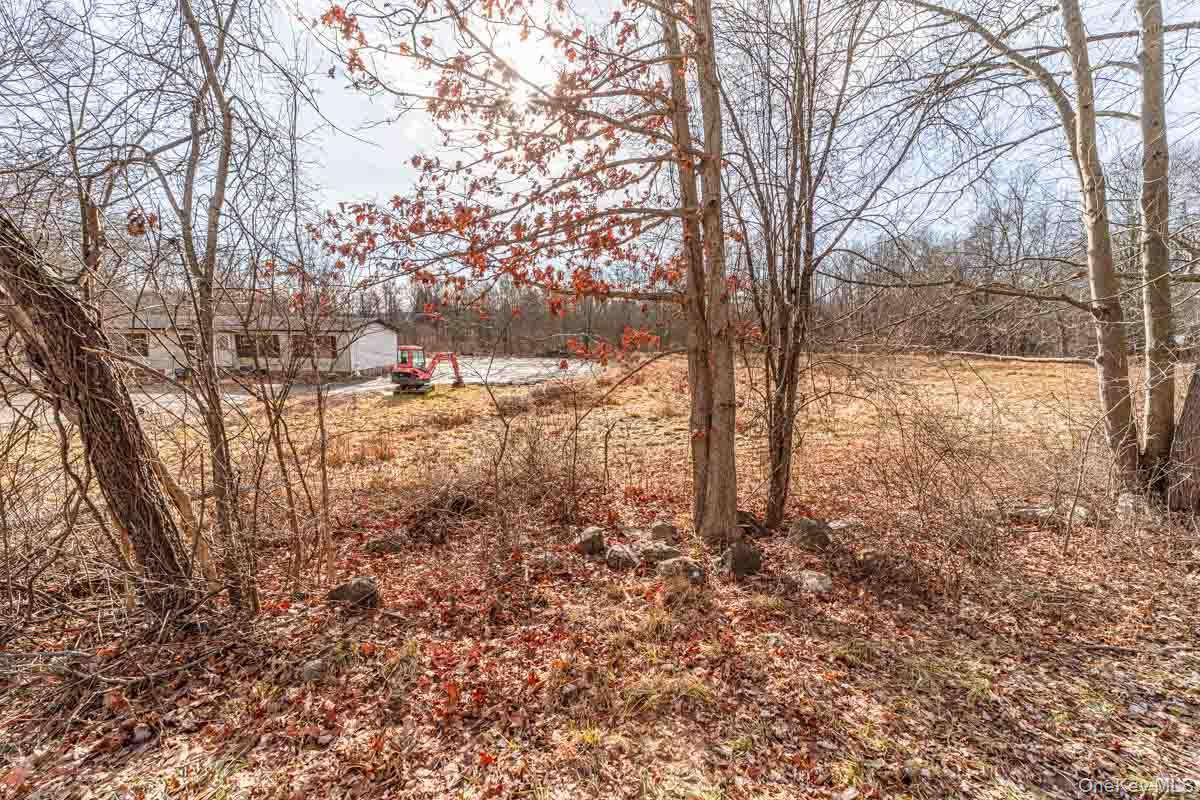 437 Union School Road Middletown, NY 10941 - Photo 23 of 23 View of local wilderness