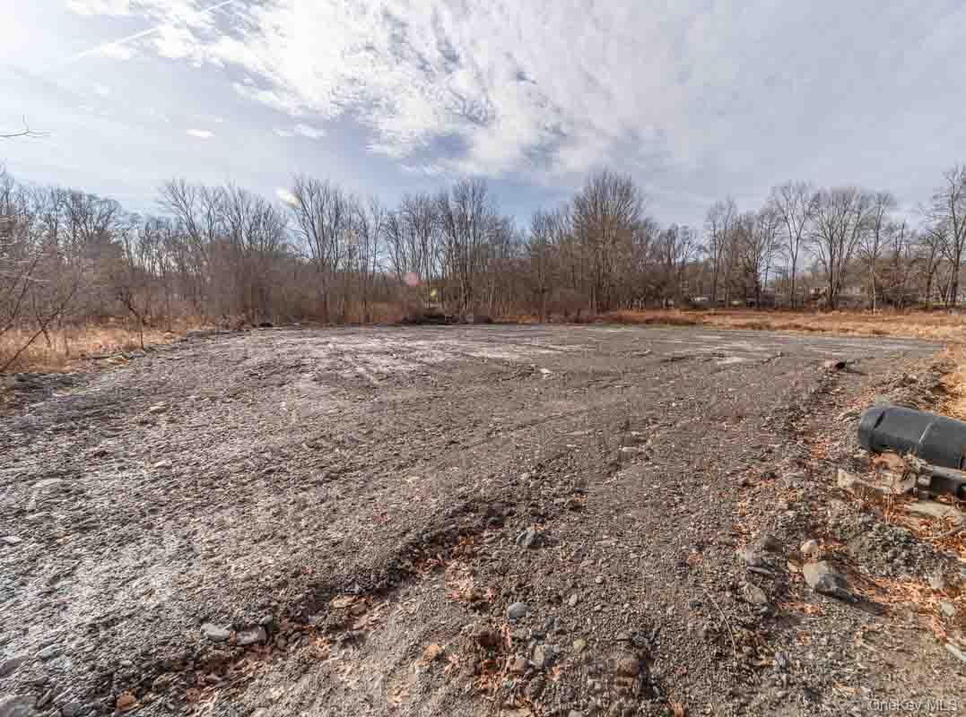 437 Union School Road Middletown, NY 10941 - Photo 3 of 23 View of yard