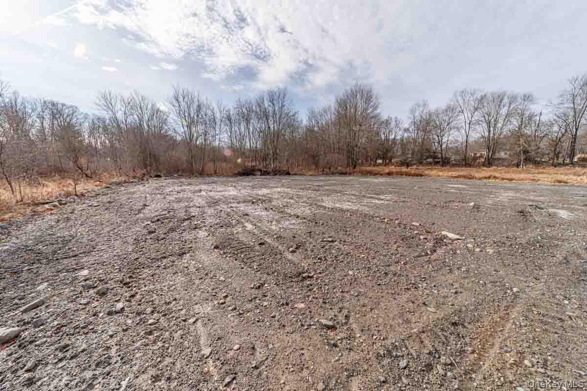 437 Union School Road Middletown, NY 10941 - Photo 6 of 23 View of yard