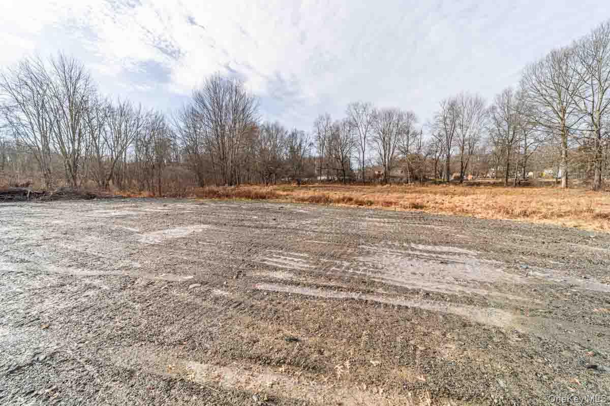 437 Union School Road Middletown, NY 10941 - Photo 7 of 23 View of yard