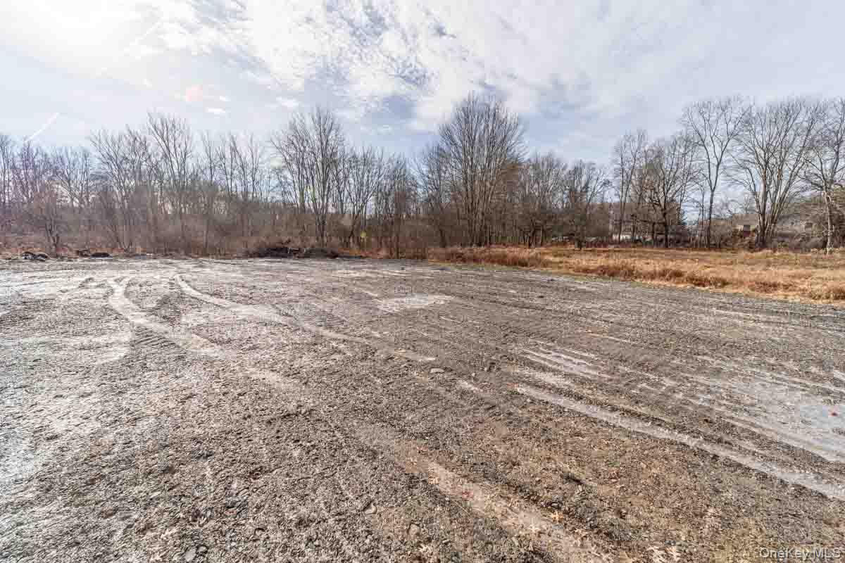 437 Union School Road Middletown, NY 10941 - Photo 9 of 23 View of yard