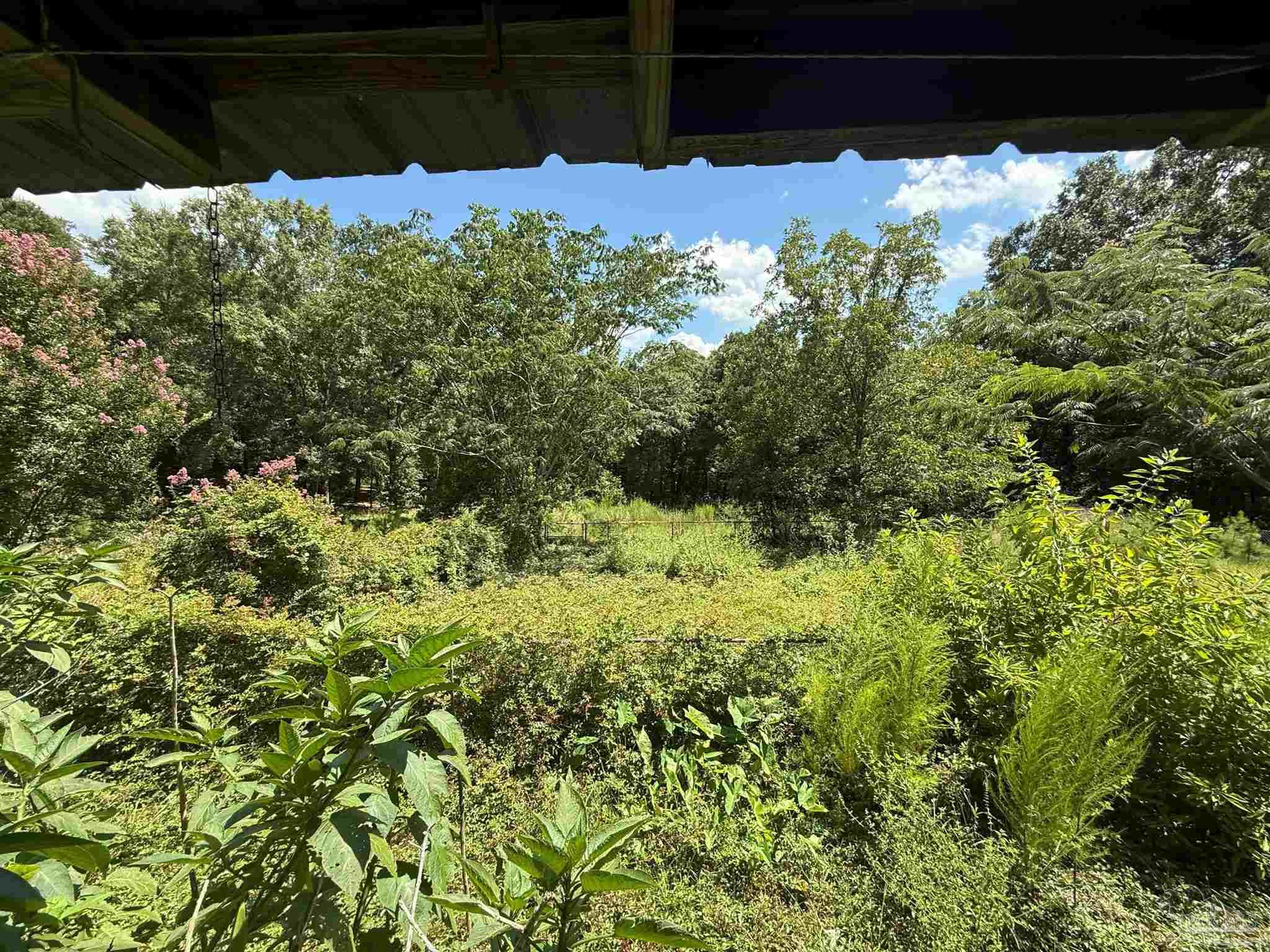 2579 Highway 4 Jay, FL 32565 - Photo 22 of 27