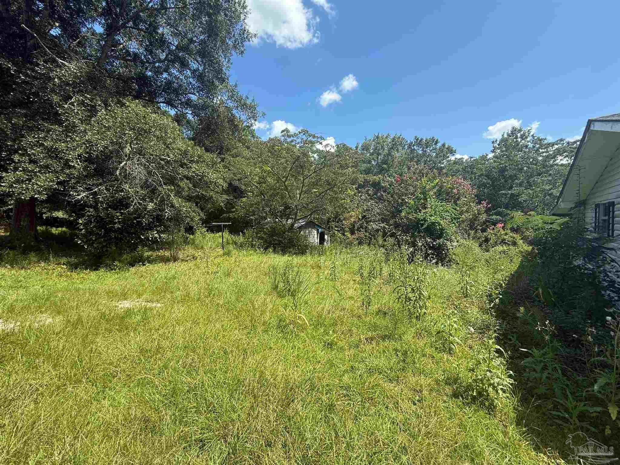 2579 Highway 4 Jay, FL 32565 - Photo 25 of 27