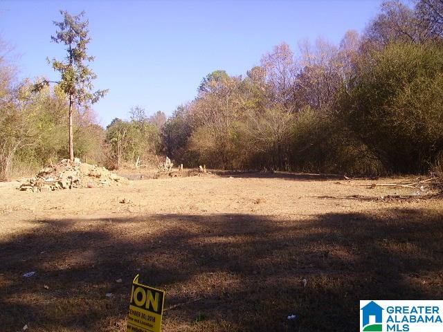3338 Warrior River Road, Unit RESIDENTIAL OR COMMERCIAL Bessemer, AL 35023 - Photo 2 of 3 Gallery Image 2