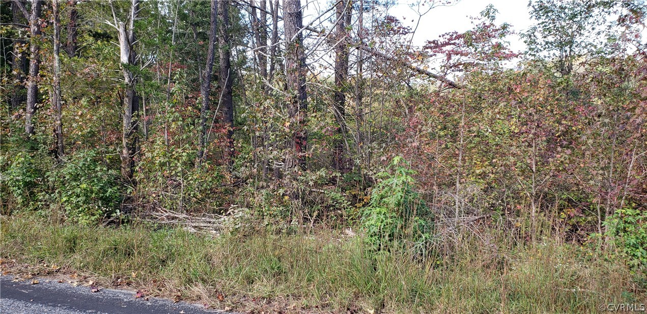 64-3-3 Country Road Beaverdam, VA 23015 - Photo 1 of 3
