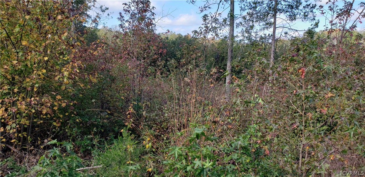 64-3-3 Country Road Beaverdam, VA 23015 - Photo 2 of 3