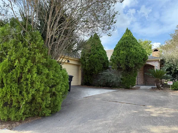 a view of a garden with pathway
