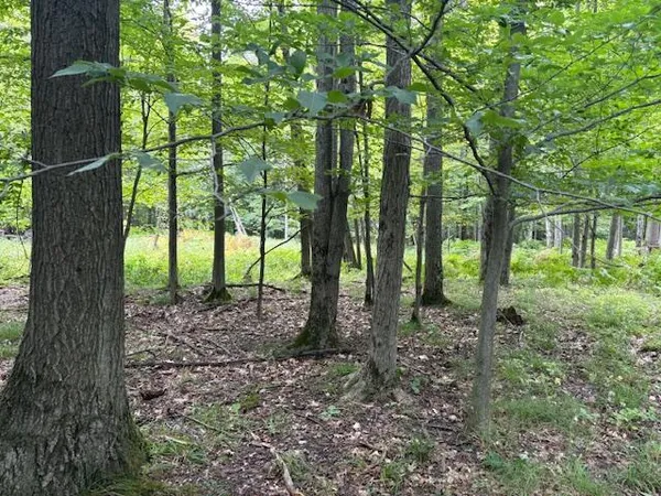$160,000 | Flarity Road, Brethren, MI 49619