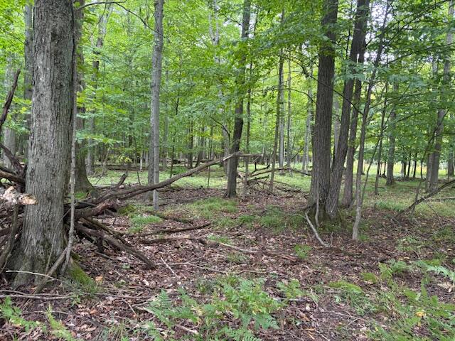 Flarity Road Brethren, MI 49619 - Photo 12 of 14 IMG_7326 (002)