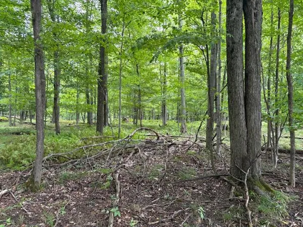 $160,000 | Flarity Road, Brethren, MI 49619
