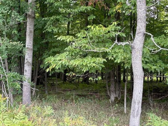 $160,000 | Flarity Road, Brethren, MI 49619