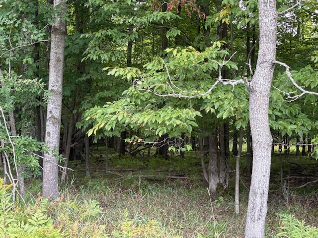 Flarity Road Brethren, MI 49619 - Photo 14 of 14 IMG_7324 (002)