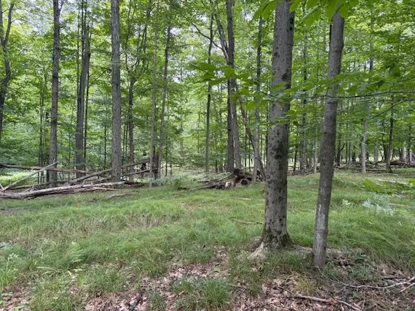 $160,000 | Flarity Road, Brethren, MI 49619