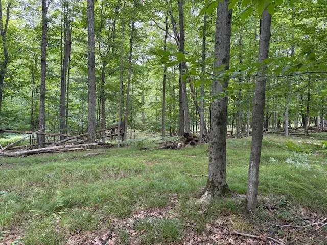$160,000 | Flarity Road, Brethren, MI 49619