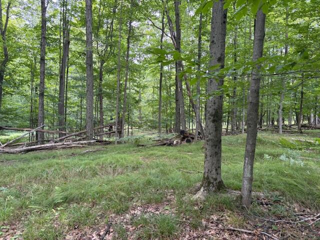 Flarity Road Brethren, MI 49619 - Photo 3 of 14 IMG_7330 (002)