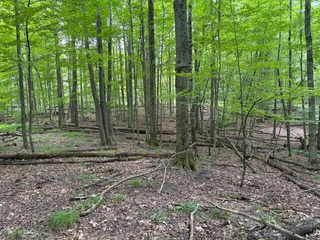 $160,000 | Flarity Road, Brethren, MI 49619
