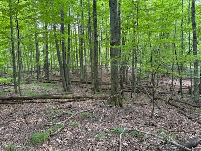 Flarity Road Brethren, MI 49619 - Photo 4 of 14 IMG_7333 (002)