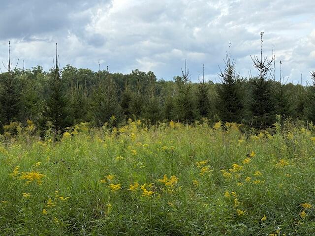 Flarity Road Brethren, MI 49619 - Photo 5 of 14 IMG_7344 (002)