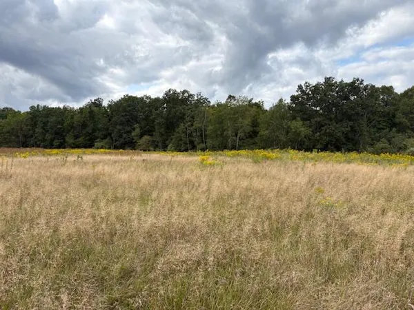 $160,000 | Flarity Road, Brethren, MI 49619
