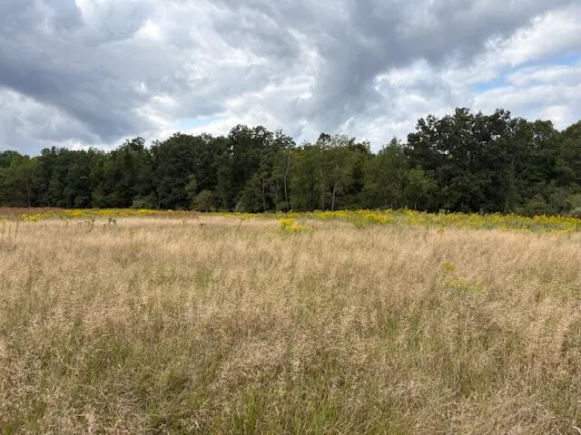 $160,000 | Flarity Road, Brethren, MI 49619