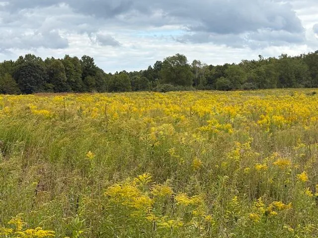 $160,000 | Flarity Road, Brethren, MI 49619