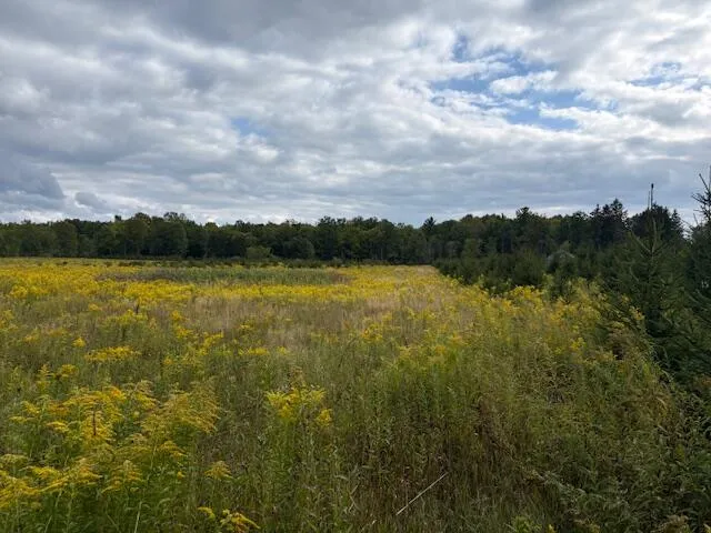 $160,000 | Flarity Road, Brethren, MI 49619