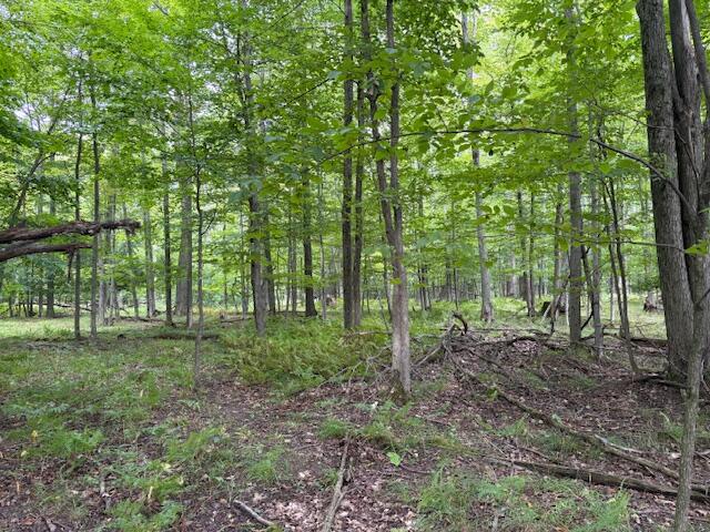 Flarity Road Brethren, MI 49619 - Photo 10 of 14 IMG_7338 (002)