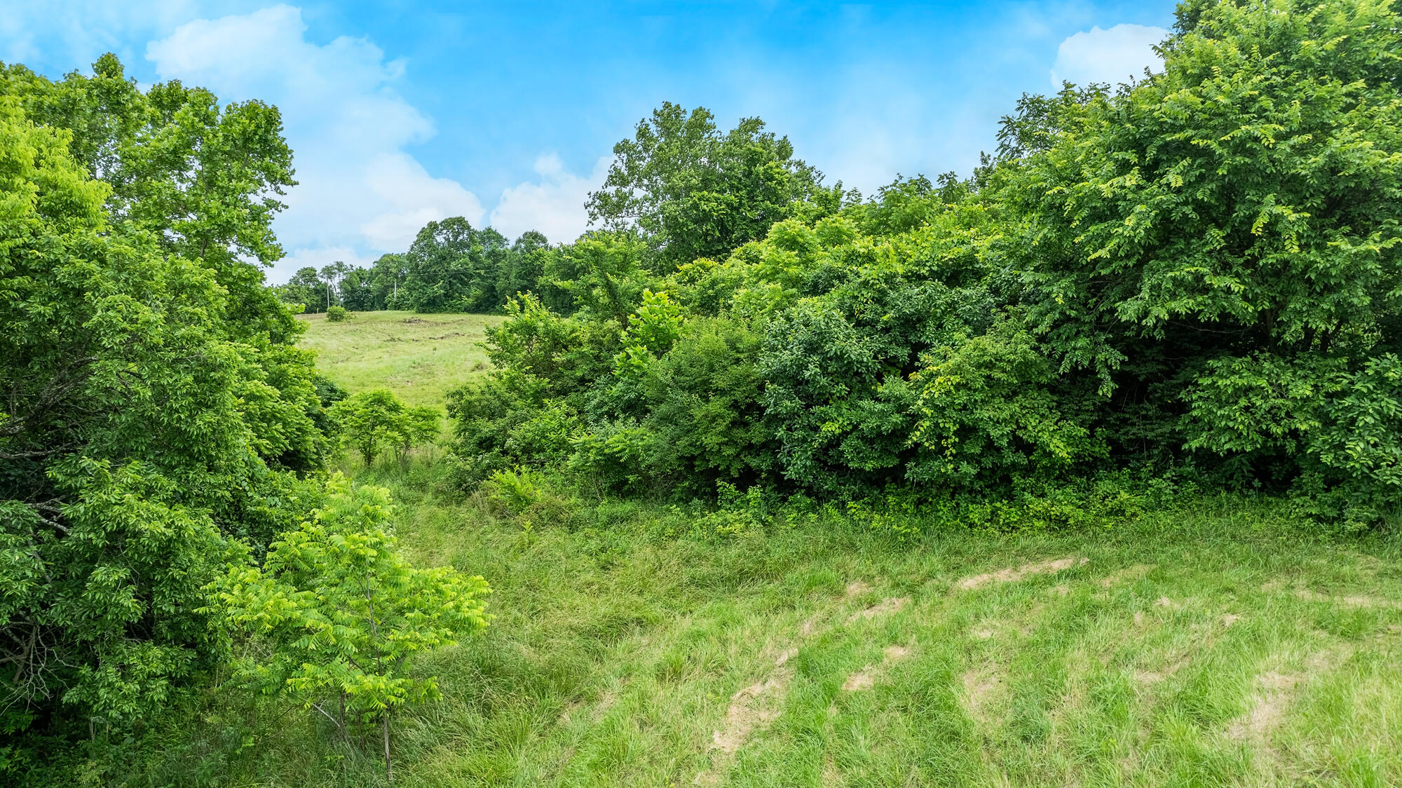 470 Park Ridge Road Sanders, KY 41083 - Photo 17 of 26 Gallery Image 17