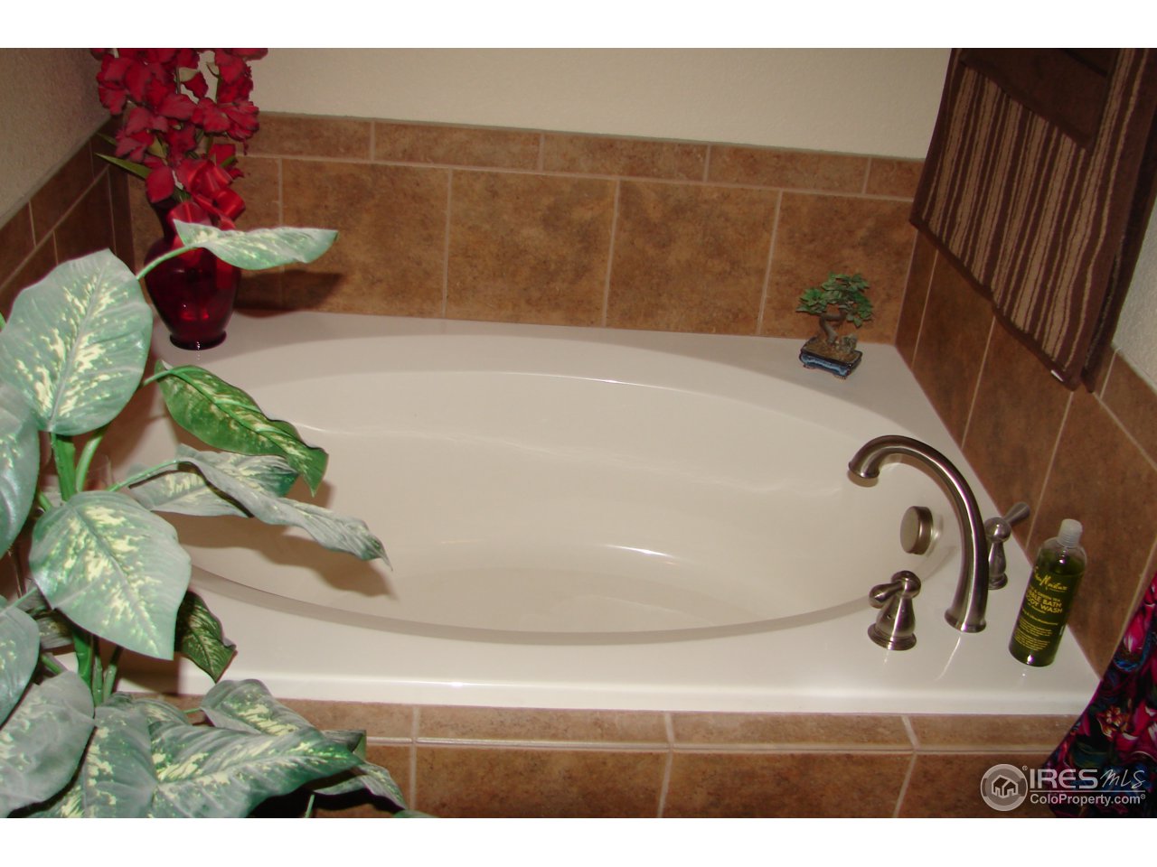 4672 West 20th Road, Unit 414 Greeley, CO 80634 - Photo 12 of 24 Master Bath