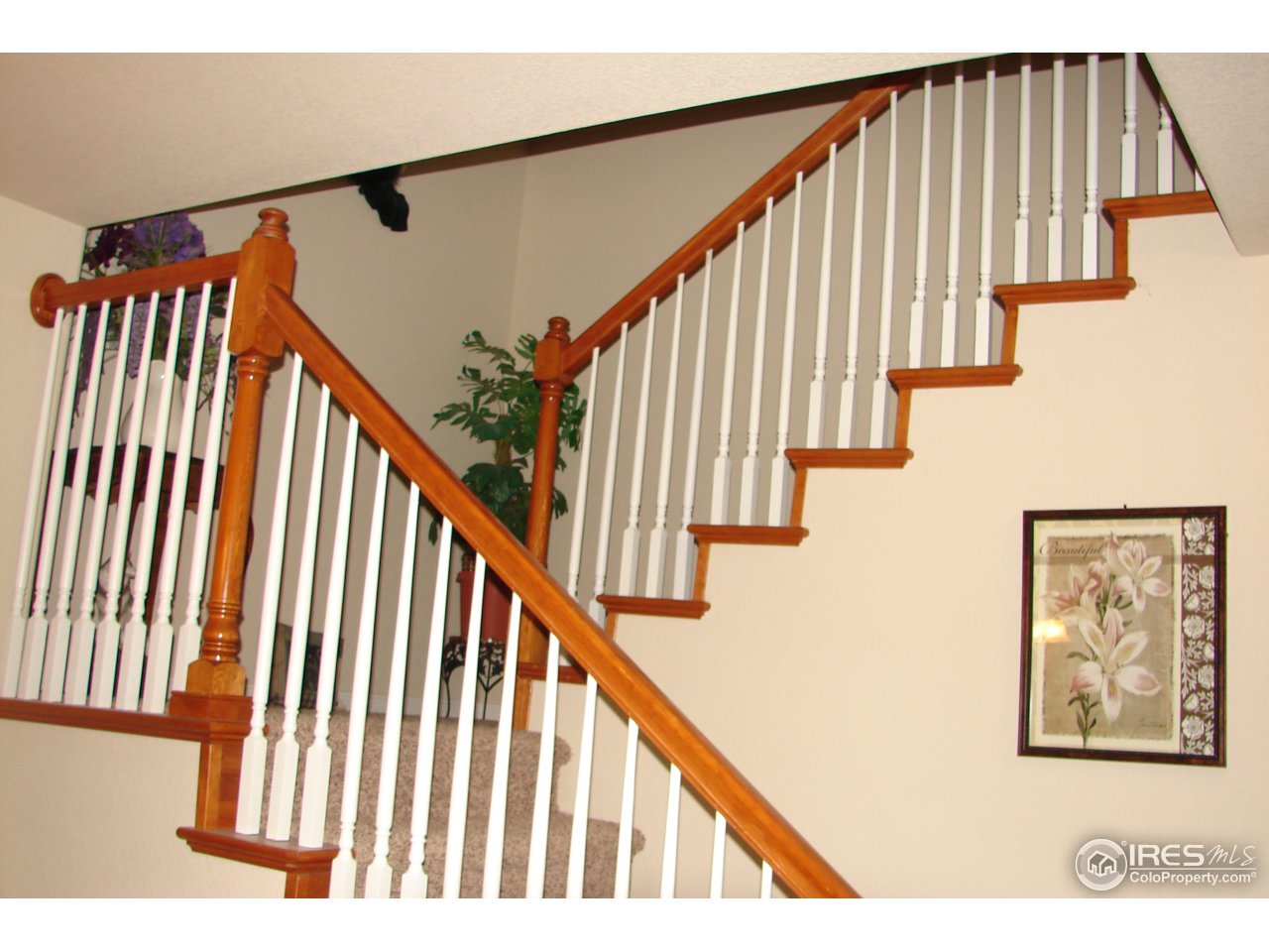 4672 West 20th Road, Unit 414 Greeley, CO 80634 - Photo 17 of 24 Staircase