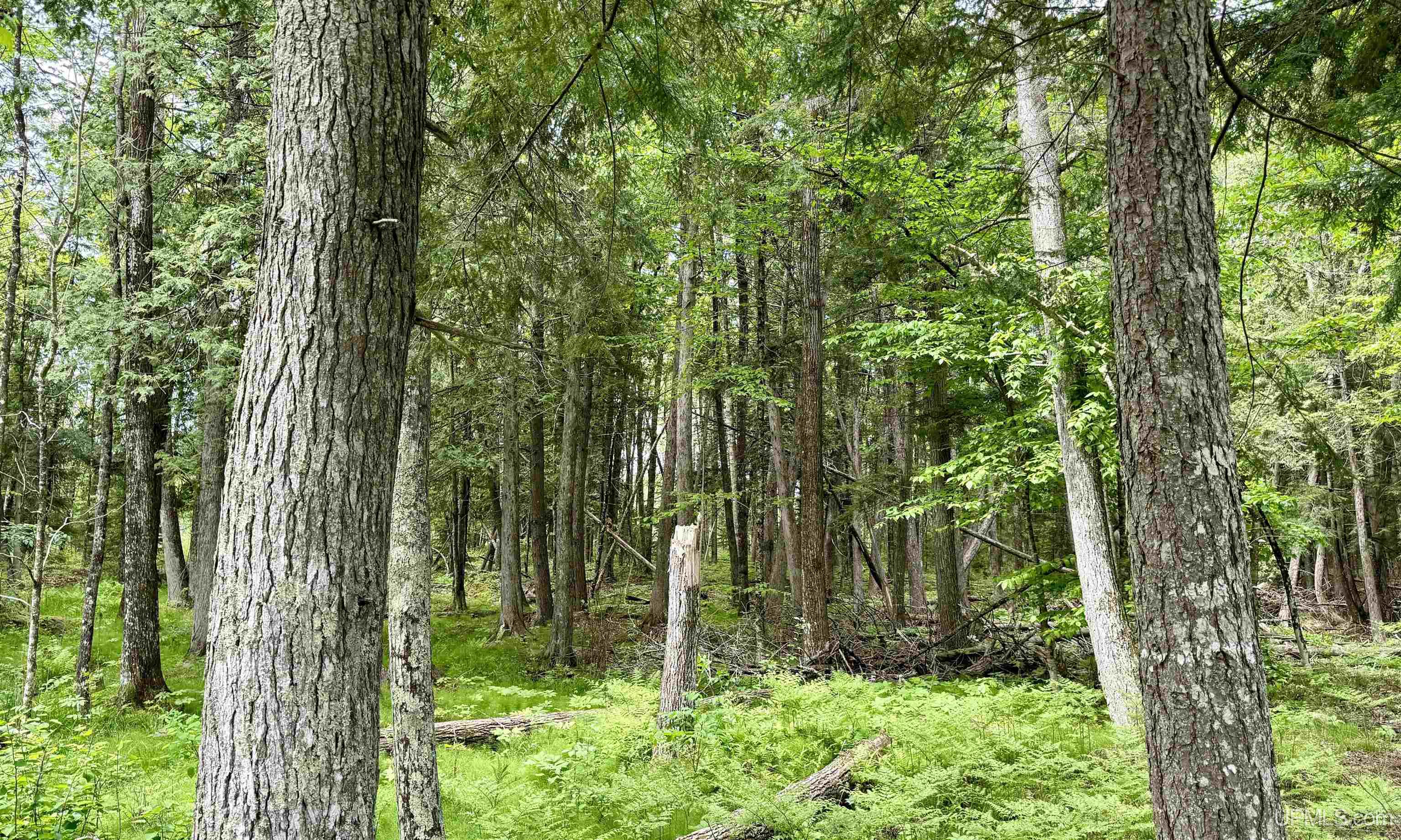 426 Rd Arnold Mi 49819 Road Felch, MI 49831 - Photo 40 of 45