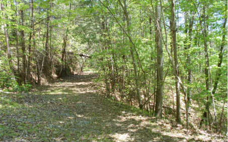 Snowy Road Morganton, GA 30560 - Photo 1 of 1 Main View
