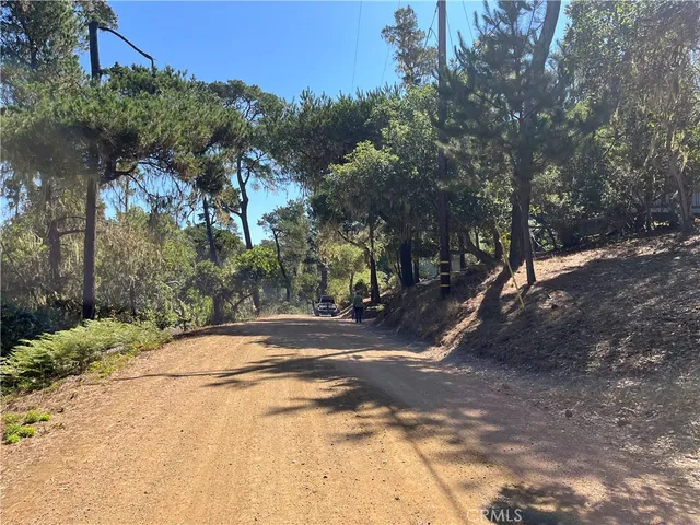 a view of backyard and trees