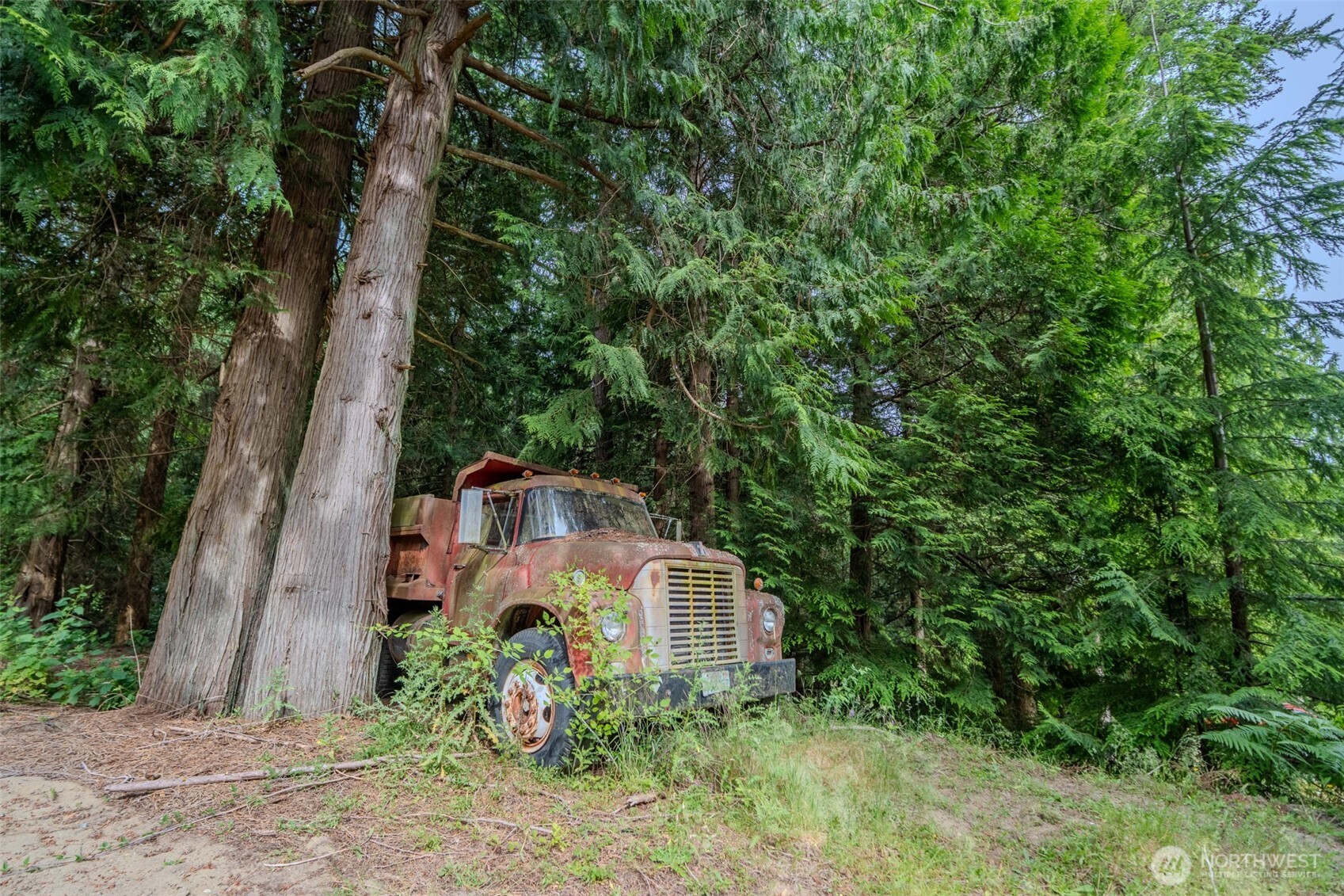 561 Cedar Hill Road Orcas Island, WA 98245 - Photo 37 of 39