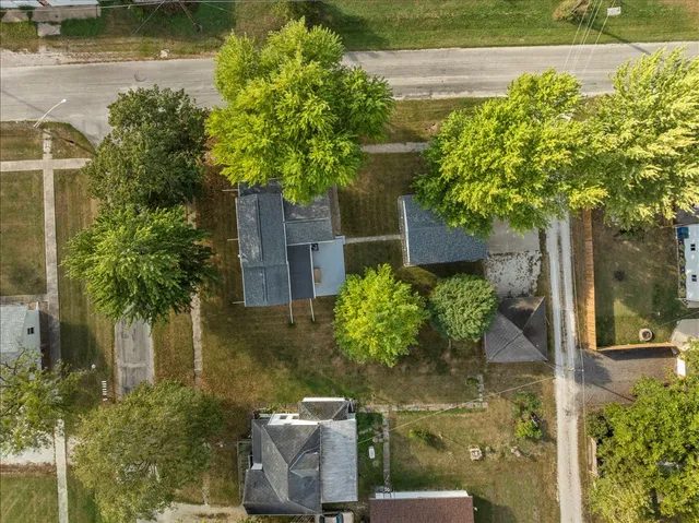 a view of a garden with plants