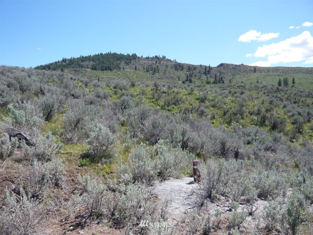 9 Methow River Ranch Methow, WA 98834 - Photo 6 of 8
