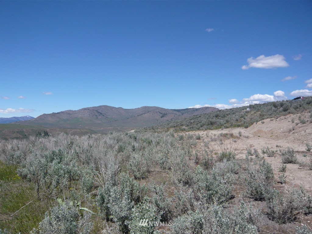 9 Methow River Ranch Methow, WA 98834 - Photo 7 of 8