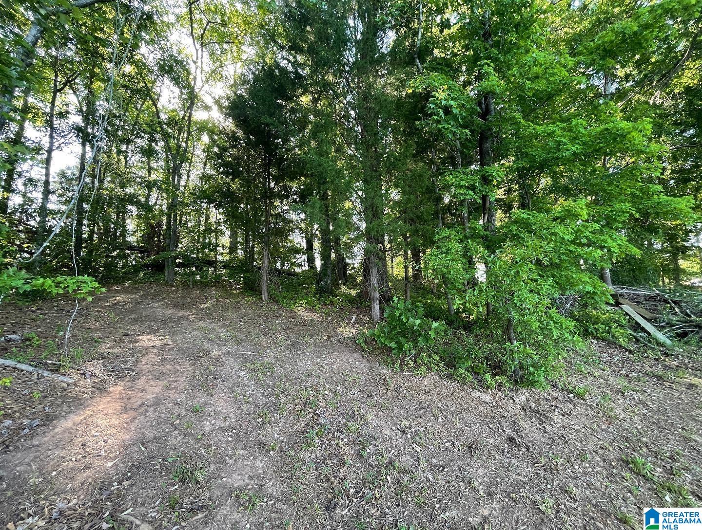 0 Cove Road, Unit 20 Sylacauga, AL 35151 - Photo 7 of 14 Gallery Image 7