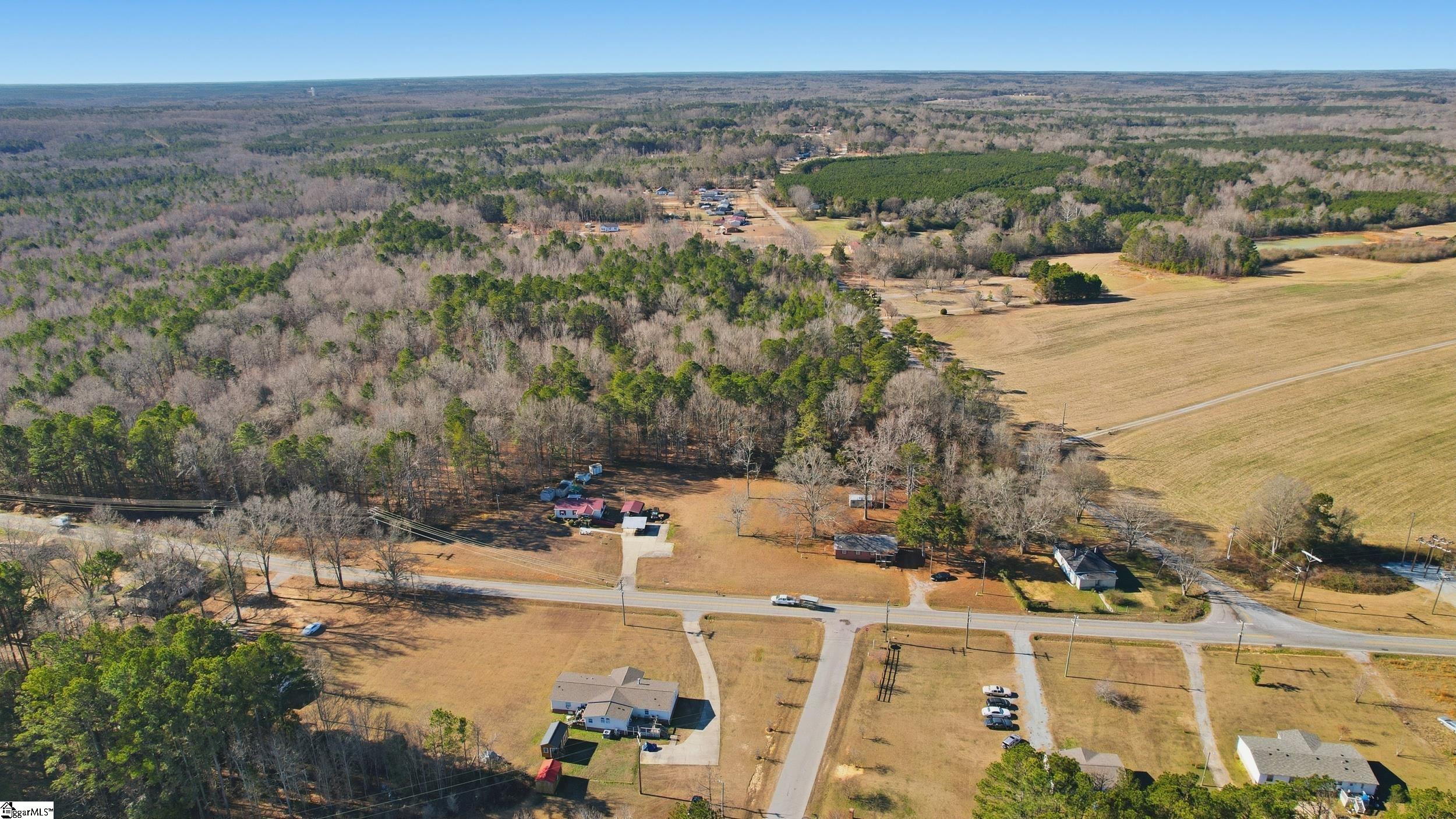 0 Apple Orchard Road Clinton, SC 29325 - Photo 21 of 22