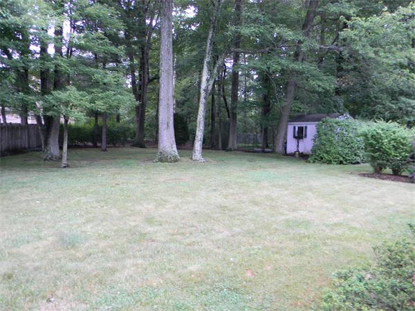 41 Birchcroft Road Canton, MA 02021 - Photo 3 of 4 Gallery Image 3