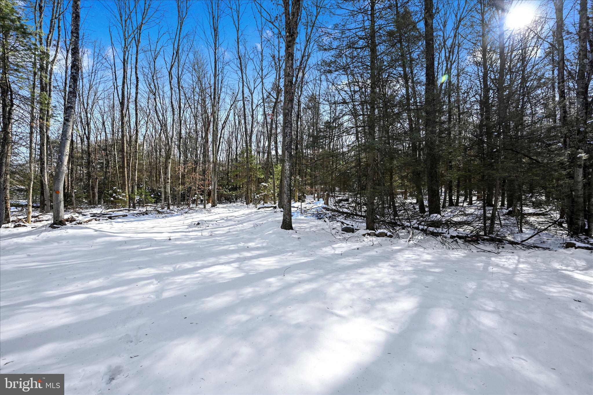 107 Dorset Road New Ringgold, PA 17960 - Photo 44 of 50 Backyard