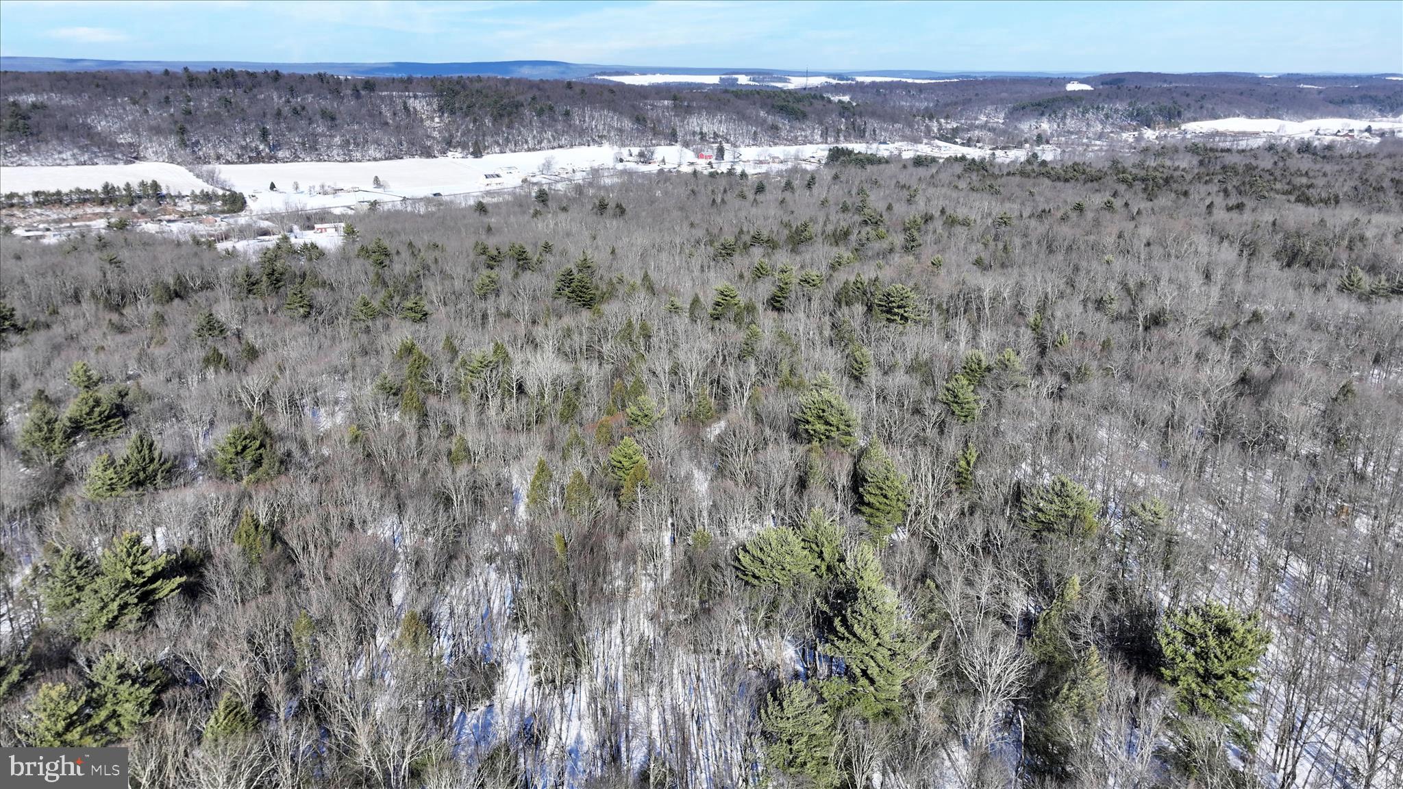 107 Dorset Road New Ringgold, PA 17960 - Photo 45 of 50 Aerial