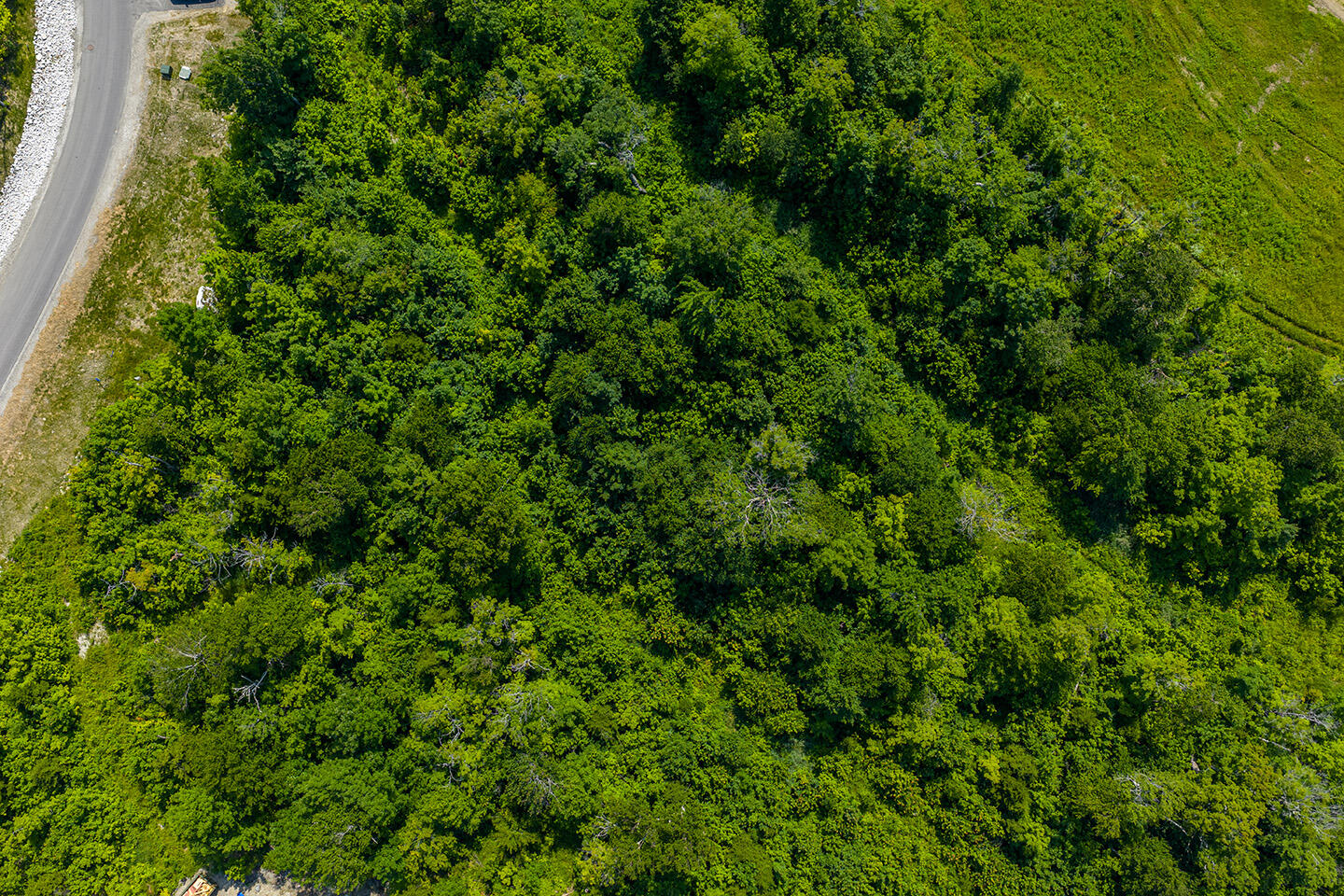 8114 Sawtooth Road Kingfield, ME 04947 - Photo 6 of 16 Lot 8-4