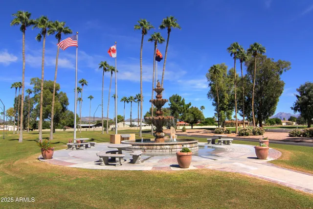 a view of a swimming pool with a lawn chairs and palm tree