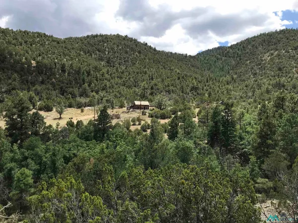 $1,170,000 | Copper Canyon Copper Canyon, Magdalena, NM 87825
