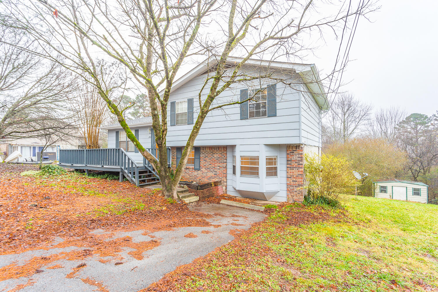 1763 Davis Ridge Road Ringgold, GA 30736 - Photo 3 of 32 1763 Davis Ridge HD -8
