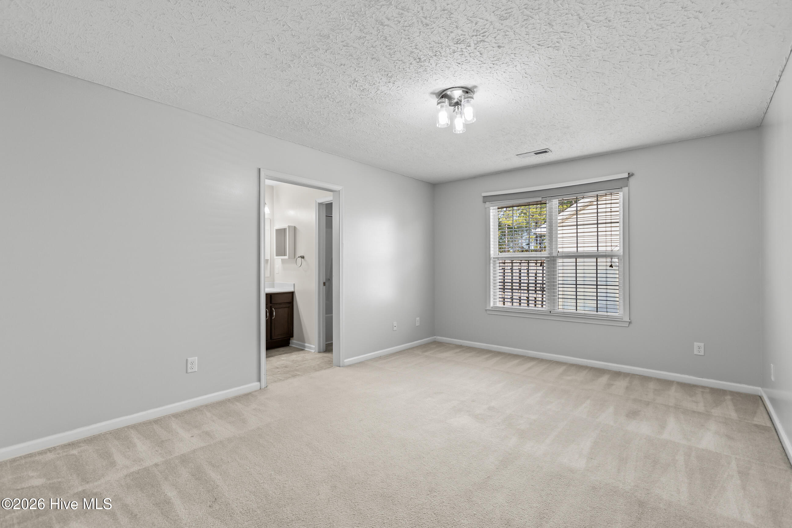 247 Red Carnation Drive Holly Ridge, NC 28445 - Photo 15 of 26 15