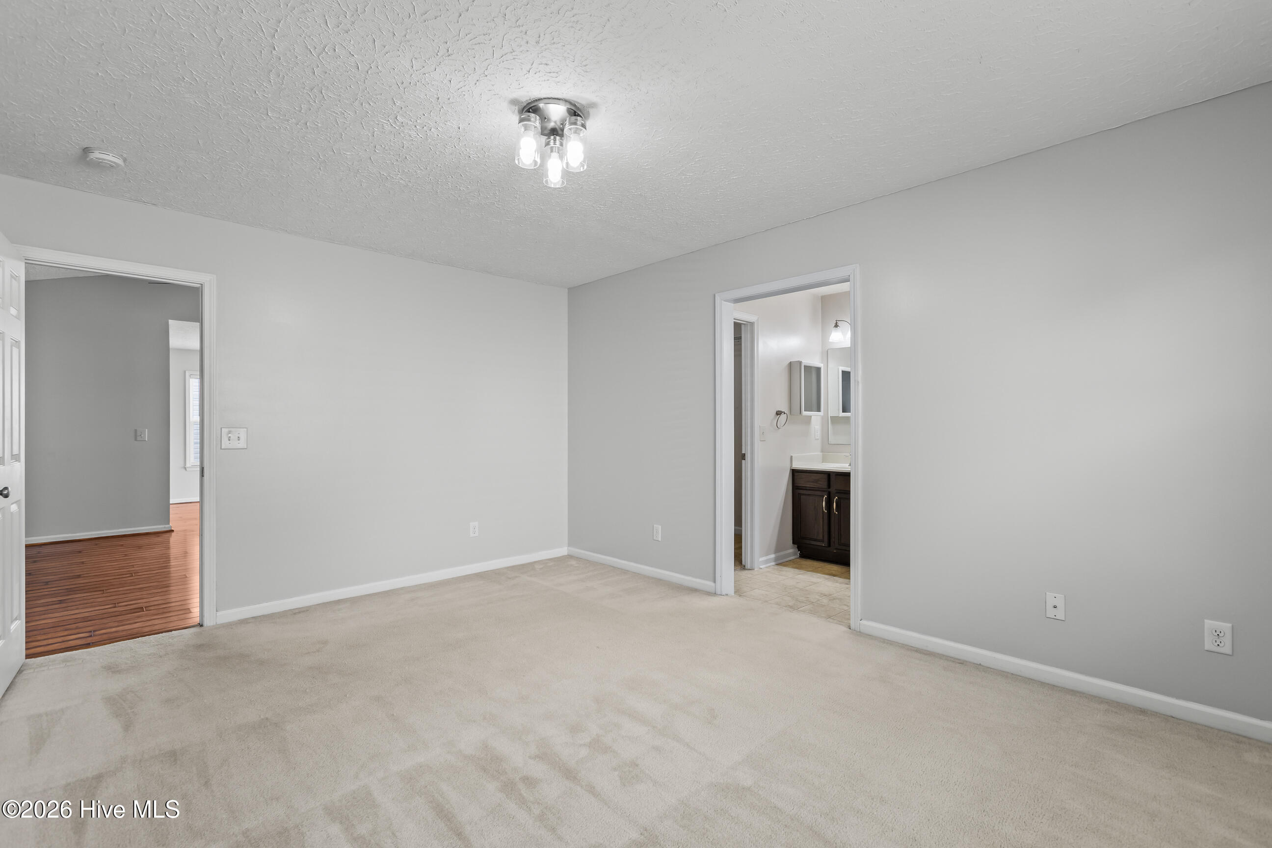 247 Red Carnation Drive Holly Ridge, NC 28445 - Photo 16 of 26 16